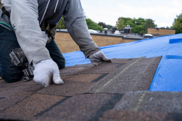 Fast & Reliable Emergency Roof Repairs in Bloomfield, IA